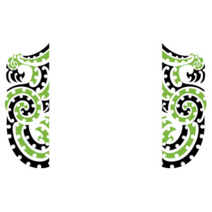 Taiea te Taiao Long Sleeve Mens Design